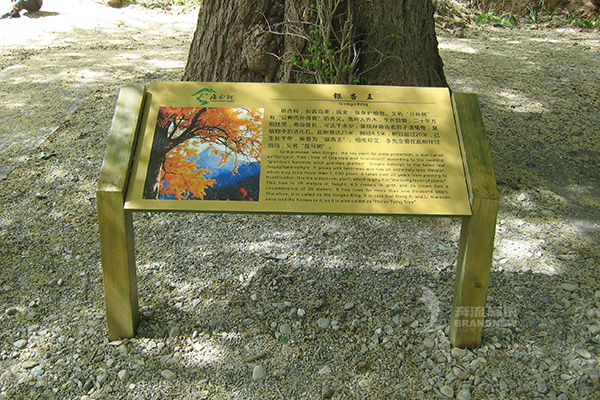 旅游景區(qū)標(biāo)識設(shè)計